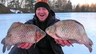 ШОК!!! КИЛОГРАММОВЫЕ КАРАСИ ДИНОЗАВРЫ КЛЮЮТ НА ЖЕРЛИЦЫ