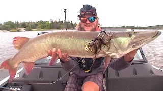 FIDGET SPINNER MUSKY FISHING!!!