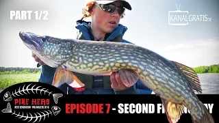 PIKE HERO 2016 - EPISODE 7 - Second Fishing Day (English, French, German and Dutch Subtitles)