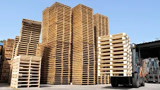 The process of mass-producing wooden pallets from giant trees. Pallet factory in Korea