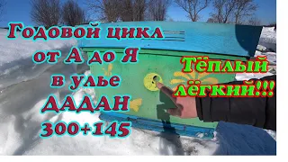 ГОДОВОЙ ЦИКЛ РАБОТЫ С ПЧЁЛАМИ в 12 РАМОЧНОМ УЛЬЕ от А до Я, 300 рамка и +145 магазины. 1 Часть.