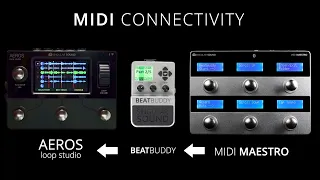 AEROS Loop Studio + BeatBuddy + MIDI Maestro - MIDI Connectivity