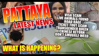 Pattaya news, VISA Scam, Chinese Return, Ticket Touts, Live Animals found, Road Rage