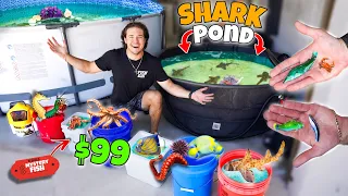 Stocking My SHARK SALTWATER POND With Tons Of EXOTIC SEA CREATURES!