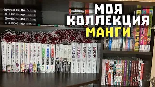 МОЯ КОЛЛЕКЦИЯ МАНГИ 📚 99 ТОМОВ