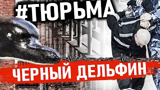 ЧЕРНЫЙ ДЕЛЬФИН! Самая Опасная Тюрьма Для ПОЖИЗНЕННО ЗАКЛЮЧЕННЫХ | ИК-6 Черный дельфин