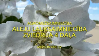 Aleju lauksaimniecība. AGROMEŽSAIMNIECĪBA Zviedrijā 4 daļa