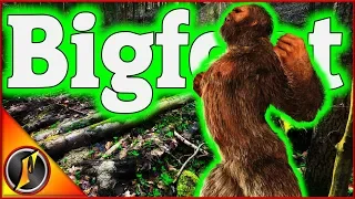 Being Hunted by Bigfoot | BIGFOOT