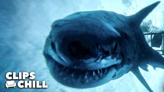 The Final Shark Battle | The Shallows