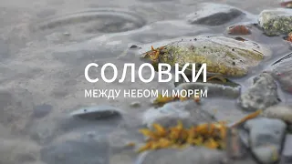 Учебный д/ф «Соловки. Между небом и морем»