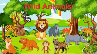 Wild Animals Vocabulary | Learn Special Wild Animals | Forest Animals for Kids | @AmbuluTots |