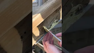 Quick Repair for Exterior Wood Rot🪵 [Bondo Wood Filler]