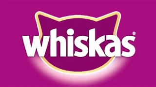 Whiskas-Любительская реклама-пародия 2019