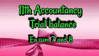 #05:06 Trial balance Ex sum 7&8