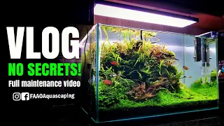 NO SECRETS! Full maintenance VLOG of my 60P #FAAO #AQUASCAPING #TUTORIAL