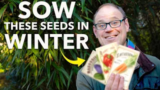 You Must Sow These Seeds in Winter