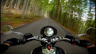 Short ride in the forest⎮MOTO GUZZI CALIFORNIA 1400 CUSTOM