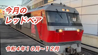 【ＤＦ２００】今月のレッドベア（令和４年１０月〜１２月）