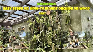 Here is another tutorial on mounting orchids. Easy fun steps that anyone can put together.