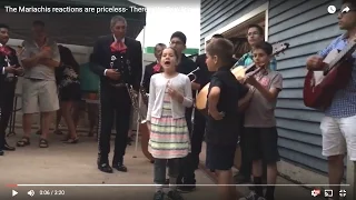 The Mariachis React! :) There's No Tortillas