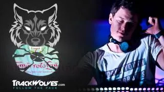 Fedde Le Grand - Live @ Tomorrowland 2013 (Belgium) - 26.07.2013