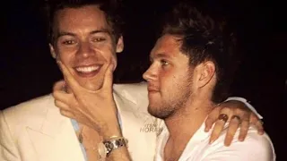 Harry Styles and Niall Horan Reunites!