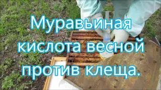 Весенняя обработка от клеща снова муравьиной кислотой? Часть первая.