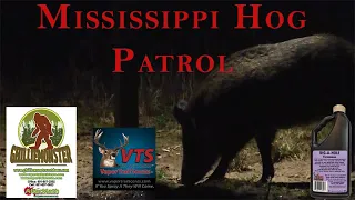 Ghillie Monster Outdoors - Mississippi Hog Patrol with the Aftermath Broadhead