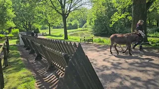 see the beautiful animals garden in Bremen (Germany)