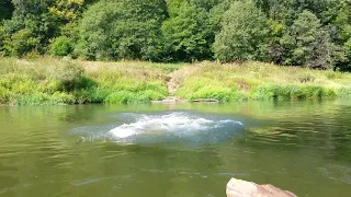 Прыжок с тарзанки в реку