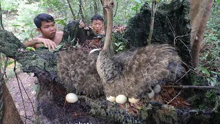 Amazing Found Ostrich Egg n Cooking Eating Delicious in forest