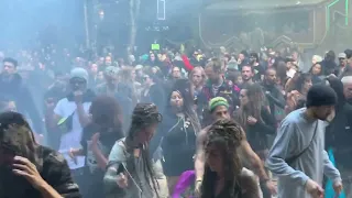 Living Frequencies @ Modem Festival 2023 (dancefloor view)