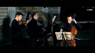 Schubert, Piano Trio No. 2, Op. 100, D. 929, in E-flat Major 2nd mov. - VIENNA PIANO TRIO