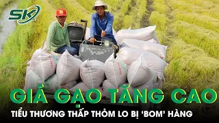 Giá Gạo Tăng Từng Ngày Nhưng Tiểu Thương Vẫn Thấp Thỏm Lo Bị "Bom" Hàng | SKĐS