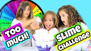 Mystery Wheel of Adding Too Much of Everything Slime Challenge!!