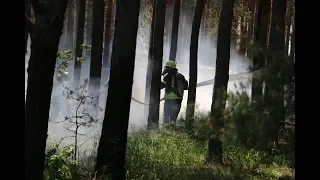 Масштабні тактико-спеціальні навчання з гасіння лісової пожежі ДОНЕЧЧИНА