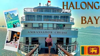 Best Luxury cruise in Halong Bay Vietnam | Ambassador Cruise | සිංහල Travel Vlog | 365 Vietnam