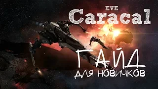 EVE Online–Caracal, ПвП фит для новичков! (ГАЙД) [ANSY]