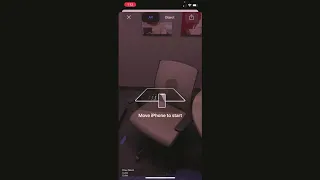 Google Arts & Culture AR Demo