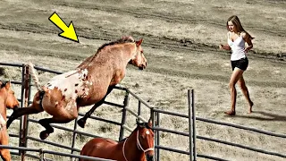 This horse went crazy when it saw the girl. The reason shocked the whole world!