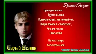 Весна  — Сергей Есенин — читает Павел Беседин