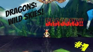 DRAGONS!!- DreamWorks Dragons Wild Skies #1