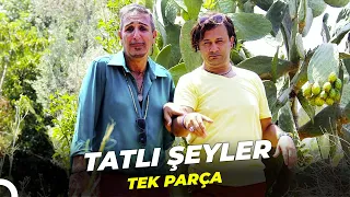 Tatlı Şeyler | Cem Özer Türk Filmi Full İzle