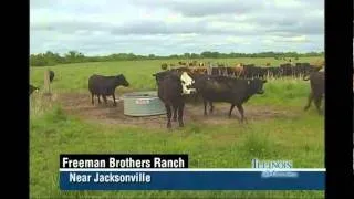 Freeman Bros. Ranch on Sustainable Infrastructure