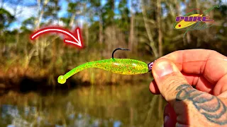 THIS Saltwater Lure Just CATCHES Fish!