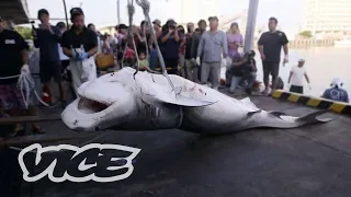 The Shark Hunters of Japan  (Part 1/2)