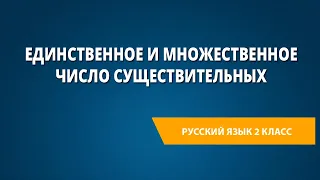 Единственное и множественное число существительных