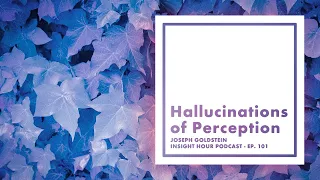 Joseph Goldstein – Insight Hour – Ep. 101 – Hallucinations of Perception