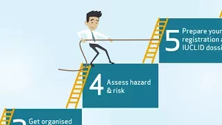 REACH 2018: Assess hazard and risk