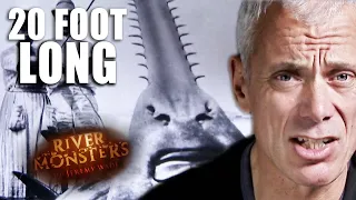 The Legend of the sawfish | River Monsters